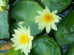 -上海市龙华烈士陵园