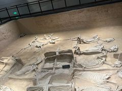 -洛阳周王城天子驾六博物馆