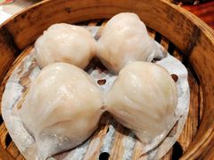 靓点虾饺-燊荣记(北京路店)
