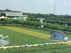 -广州花之恋城堡酒店