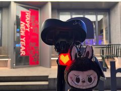 -范儿·嫂子烤肉·精致炭火烤肉(长治路店)