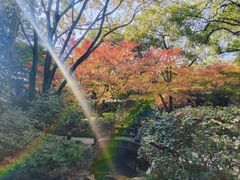 -中国茶叶博物馆(双峰馆区)
