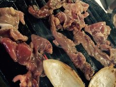 大槐树烤肉馆-大槐树烤肉馆