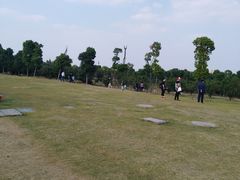 -圩墩遗址公园