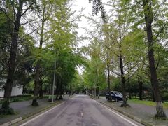 -四川大学(望江校区)