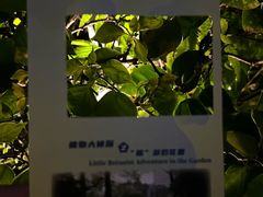 -广州花园酒店