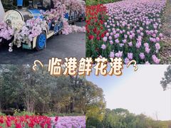 -上海鲜花港