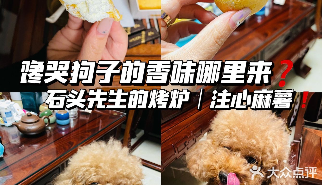 居家&车载平价零食分享｜馋哭我家狗子的神仙注心麻薯‼️