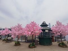 -武汉知音号
