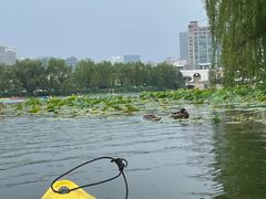 -WhaleSports户外水上运动俱乐部(朝阳公园店)