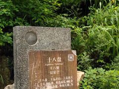 -泰山风景名胜区