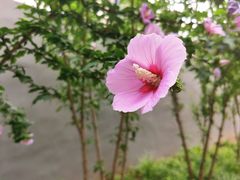 -半天妖烤鱼(新中关购物中心店)
