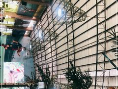 -石岐乳鸽村(南海第三分店)