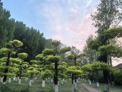 -大鹅岛绿色生态美食园