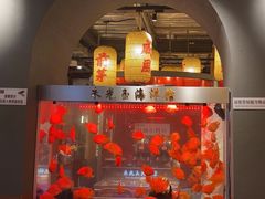 -朱光玉火锅馆·太原旗舰(钟楼街店)
