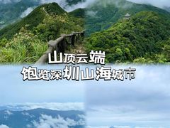 -梧桐山风景名胜区