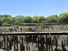 -河姆渡遗址博物馆