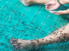 -静之湖度假区