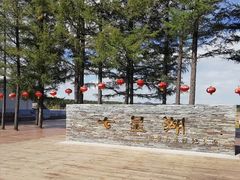 -塞罕坝国家级自然保护区