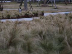 -龙美术馆西岸馆-停车场