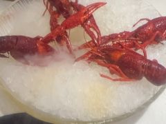 -红盔甲·小龙虾(天钥桥店)
