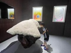 -贝壳王国博物馆