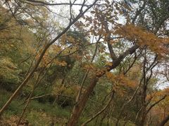 -南京市无想山景区