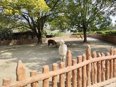 -上海野生动物园
