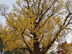 -狼山风景名胜区