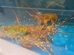 -北塘海鲜·天津菜(大光明桥旗舰店)