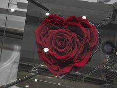 -ROSEONLY诺誓(磐基中心店)