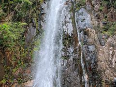 -姑婆山旅游区