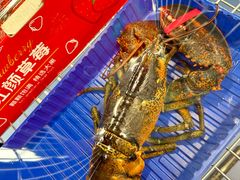 -盒马X会员店(王府井奥莱UP TOWN店)