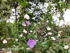 -华南国家植物园-售票处