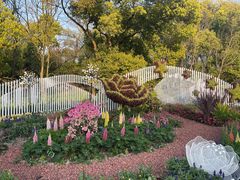 -上海共青森林公园