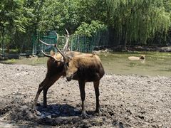 -溱湖国家湿地公园