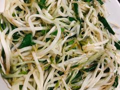 -壹盏灯(惠农店)