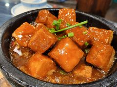 -甘家界牌柠檬鸭(青山店)