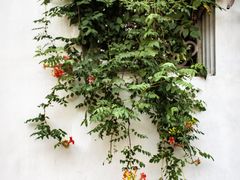 -山塘街