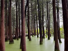 -云龙湖旅游景区