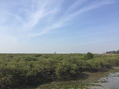 -北海金海湾红树林生态旅游区
