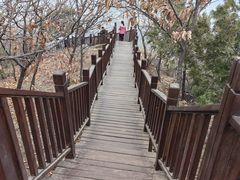 -北京十三陵国家森林公园蟒山景区