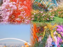 -上海滨江森林公园