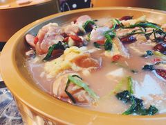 -龍歌自助小火锅(李沧丽达店)