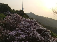 -梧桐山风景名胜区