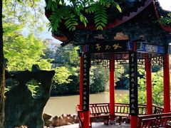 -南汇桃花村