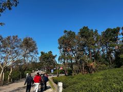 -兴福老面馆(寺路街店)