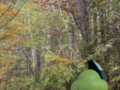 -五营红松林海景区