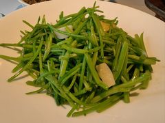 鸡油清炒豌豆尖-许家菜(望江店)