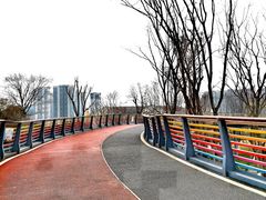 -府河摄影公园